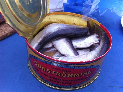 worst smelling fish in a can|Surströmming: the infamous Swedish fermented fish。